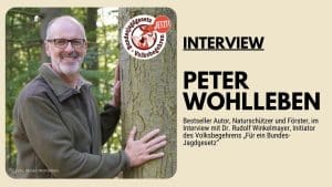 Bild mit Peter Wohlleben bei einem Baum. Titel Interview mit Peter Wohlleben